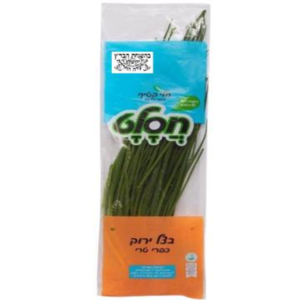 בצל ירוק